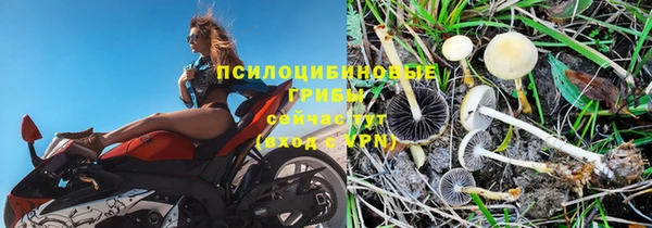 гидропоника Абаза
