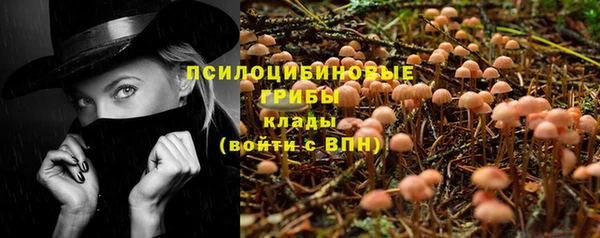 эйфоретик Абинск